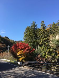 img_1285